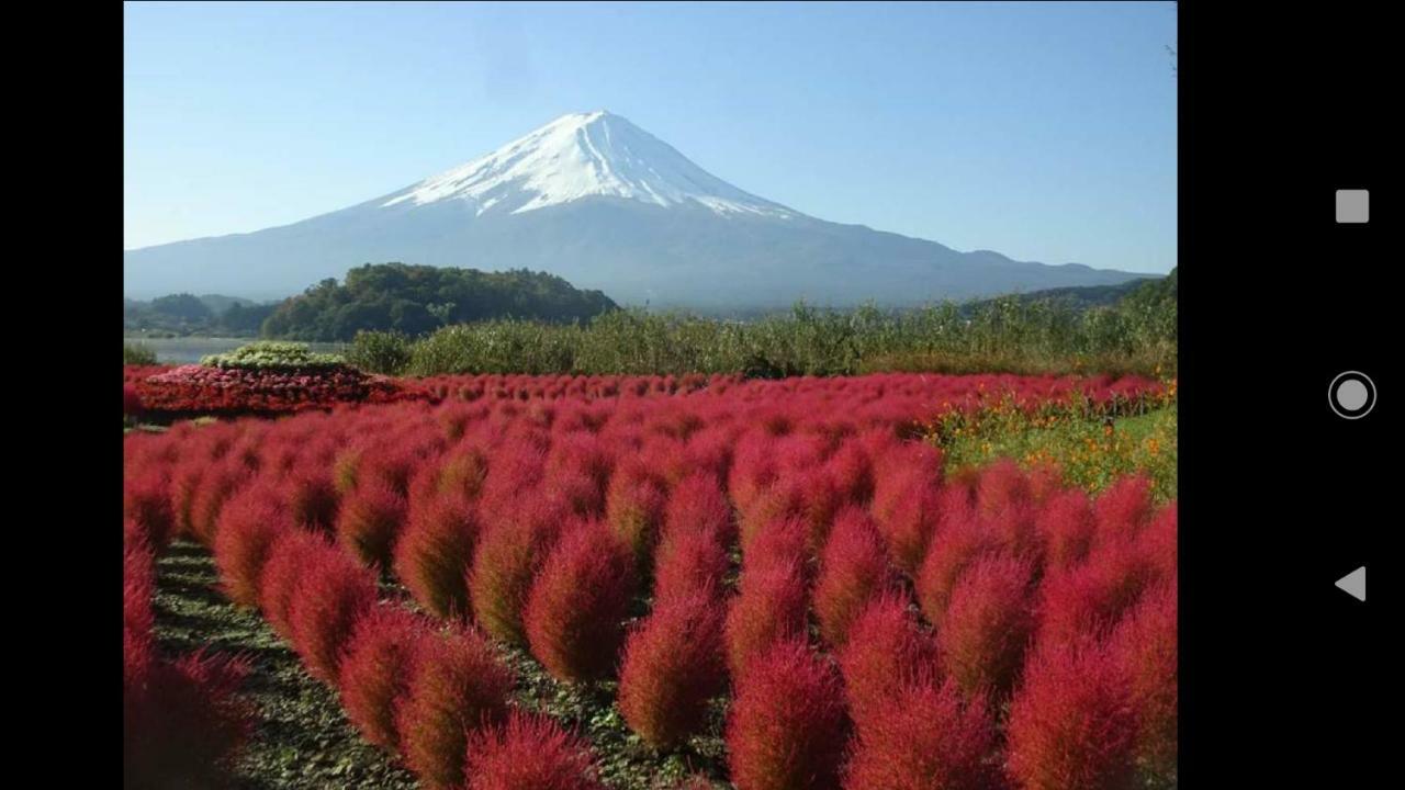 Kakureyado Fujikawaguchiko Bed and Breakfast Esterno foto